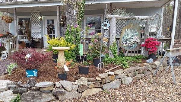 village greenhouse front, with stone wall, potted plants and garden tools