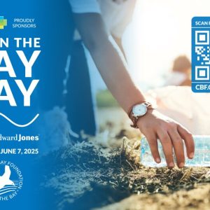 Clean the bay flyer