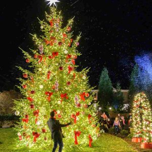 Christmas tree with lights and red ribbons outside at night