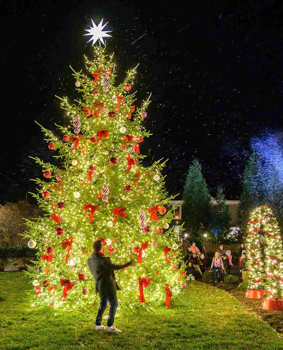 Christmas tree with lights and red ribbons outside at night