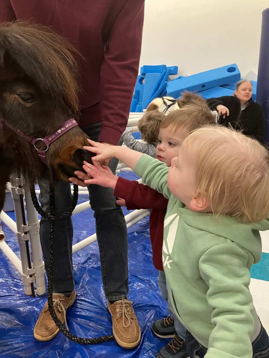 small children petting miniature horse