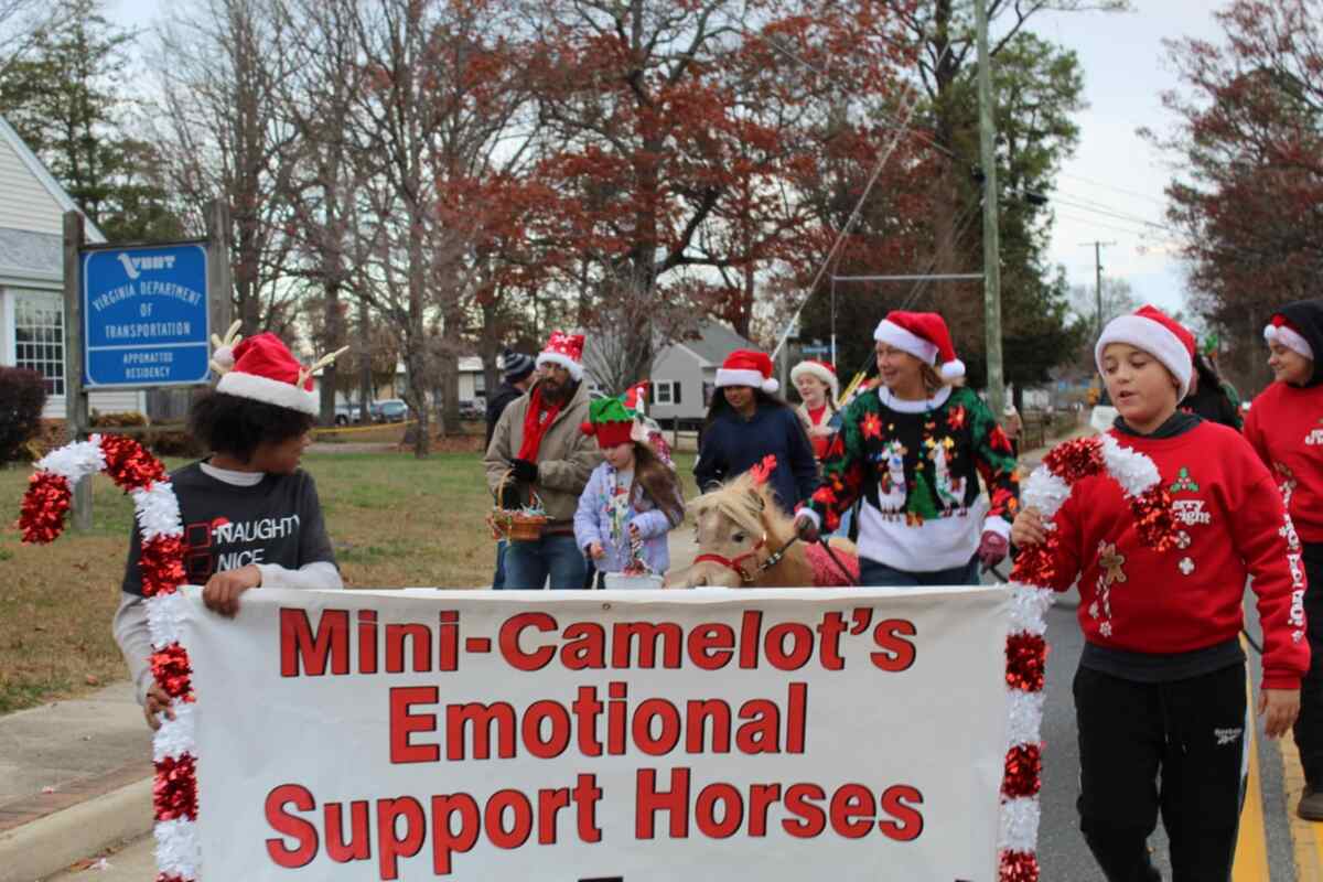 Group of people in santa hats walking with banner and miniature horse