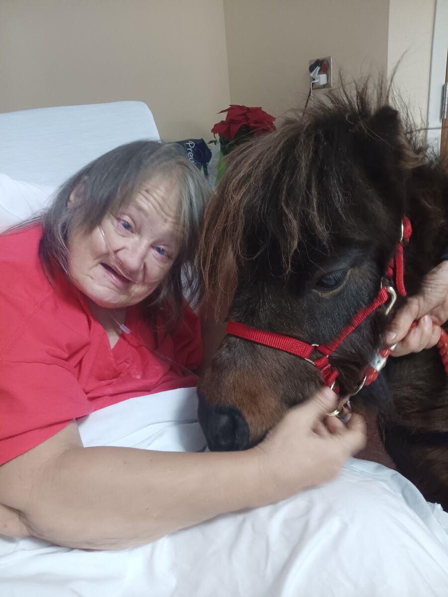 Woman in hospital bed petting miniature horse