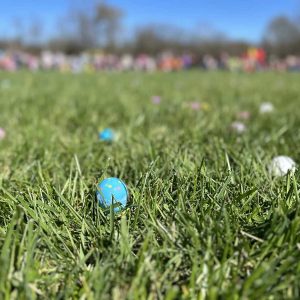 Easter Eggs in grass