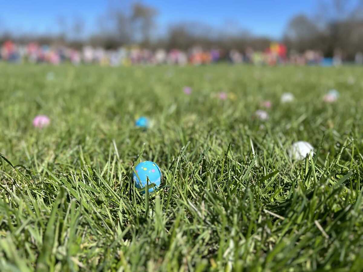 Easter Eggs in grass