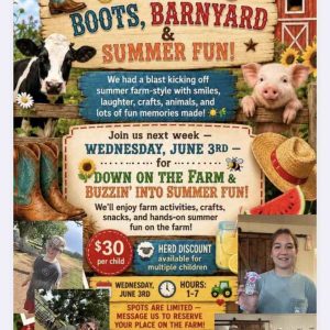 Flyer for Boots, Barnyard & Summer Fun