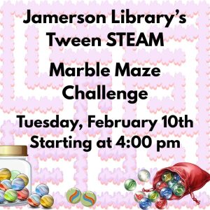 Flyer for Feb STEAM challenge