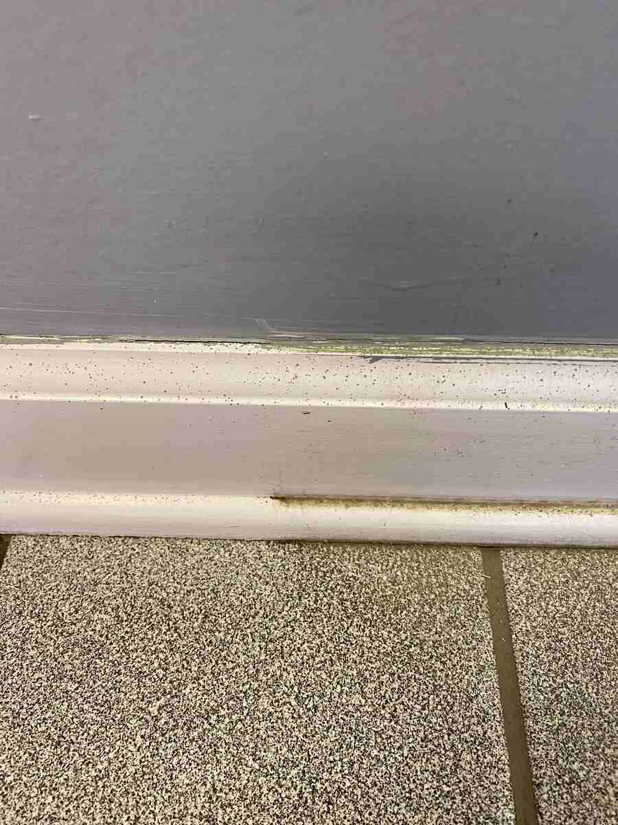 Baseboard and tile that is half cleaned