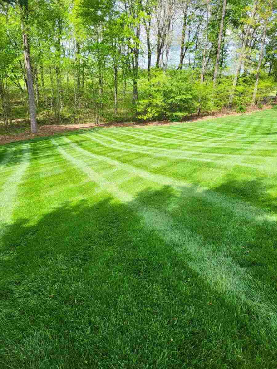 Freshly mowed lawn