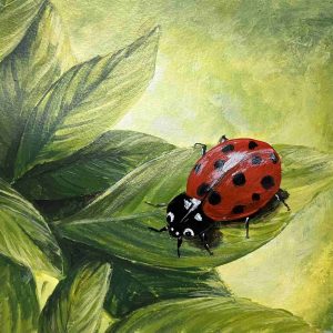 ladybug on a leaf