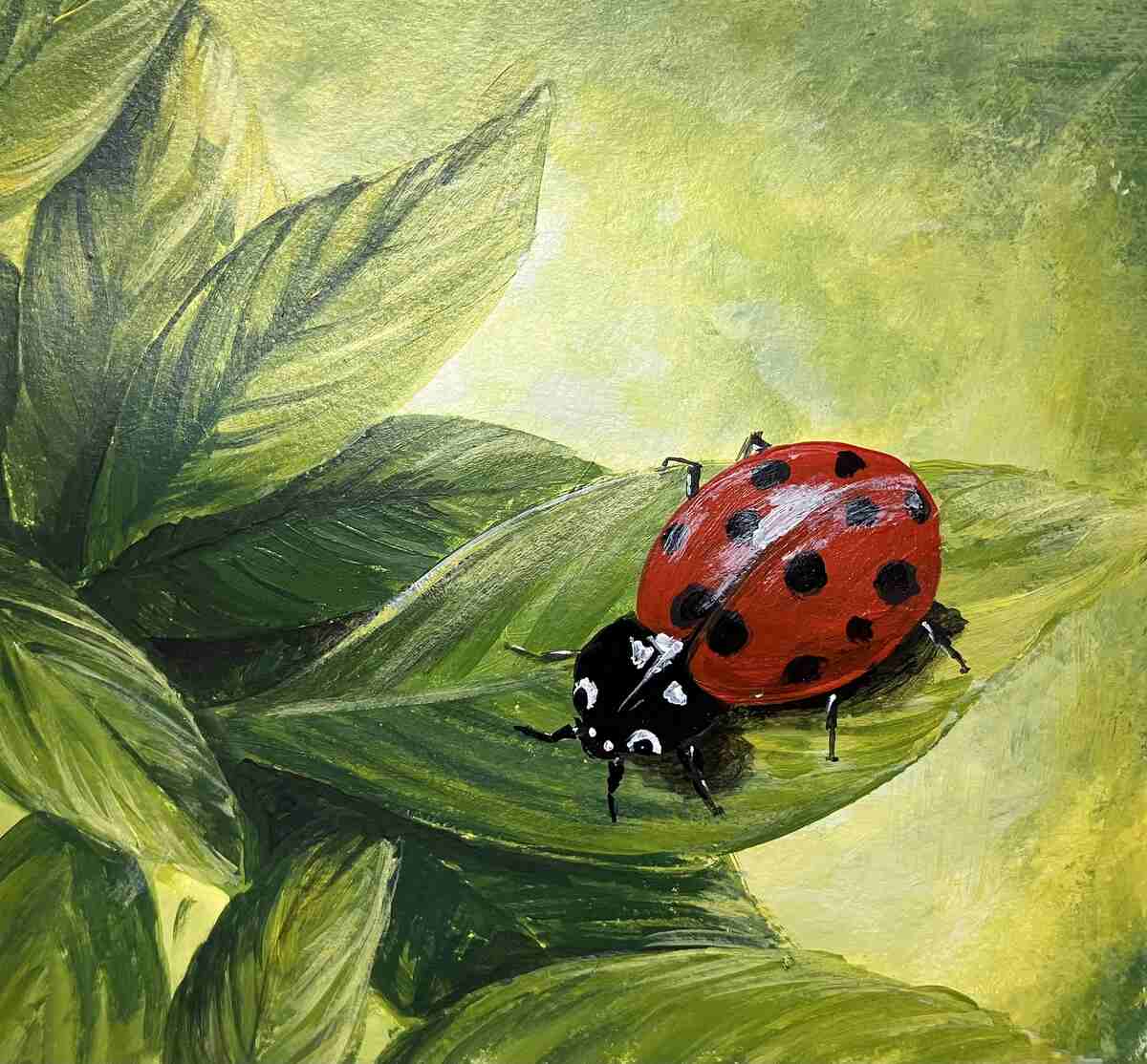 ladybug on a leaf
