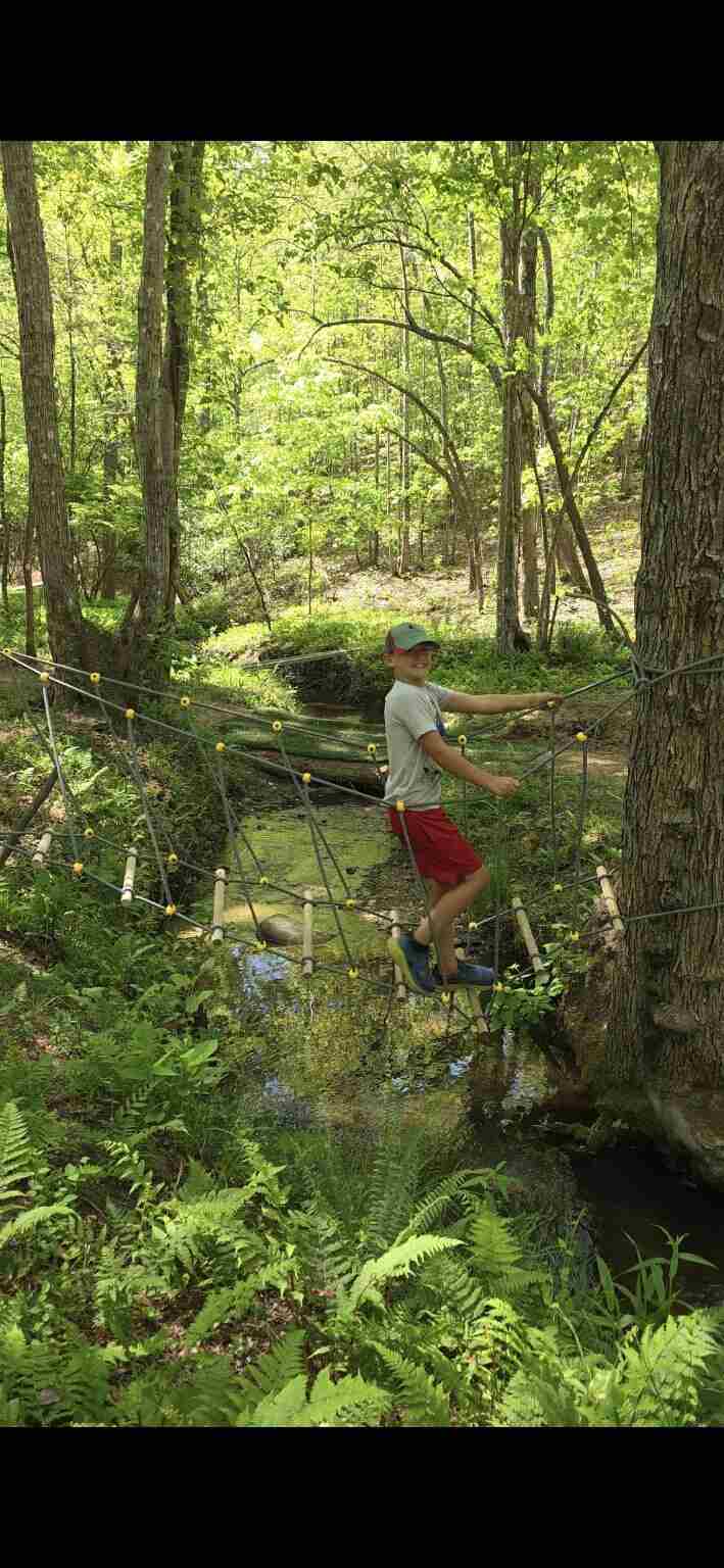 Boy walking on rope bridge in woods.