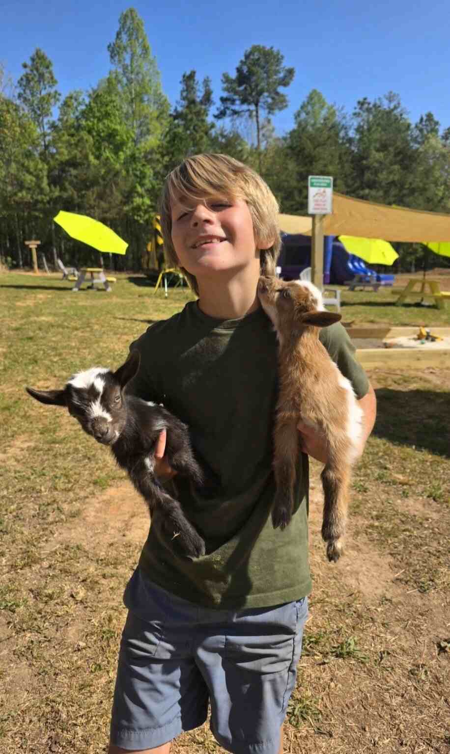Boy carrying two small goats.