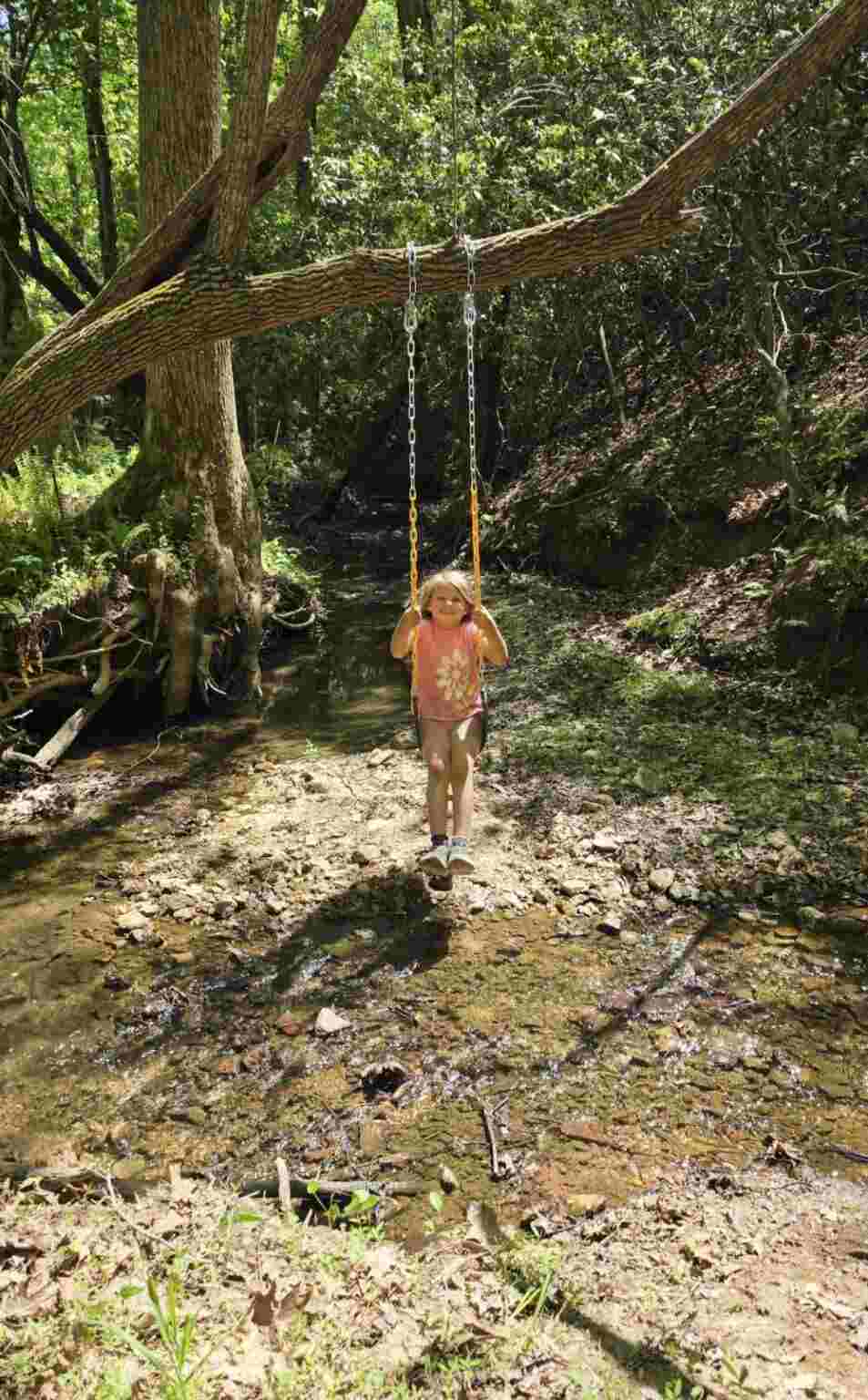 Girl on swing from tree branch