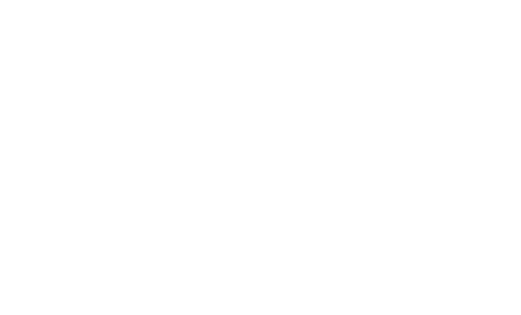 virginia is for lovers logo white
